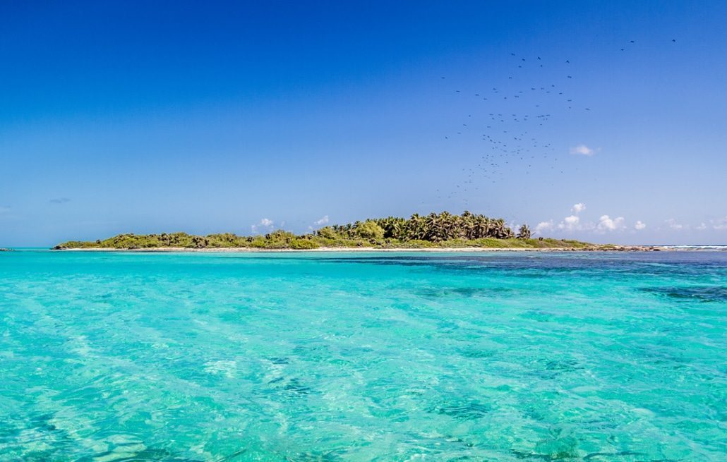 White-sand beach with palm trees facing the turquoise Caribbean Sea