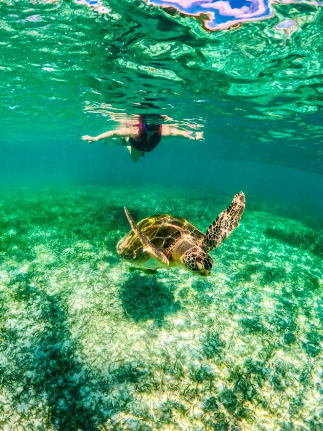 Akumal, Turtles & Maya Family