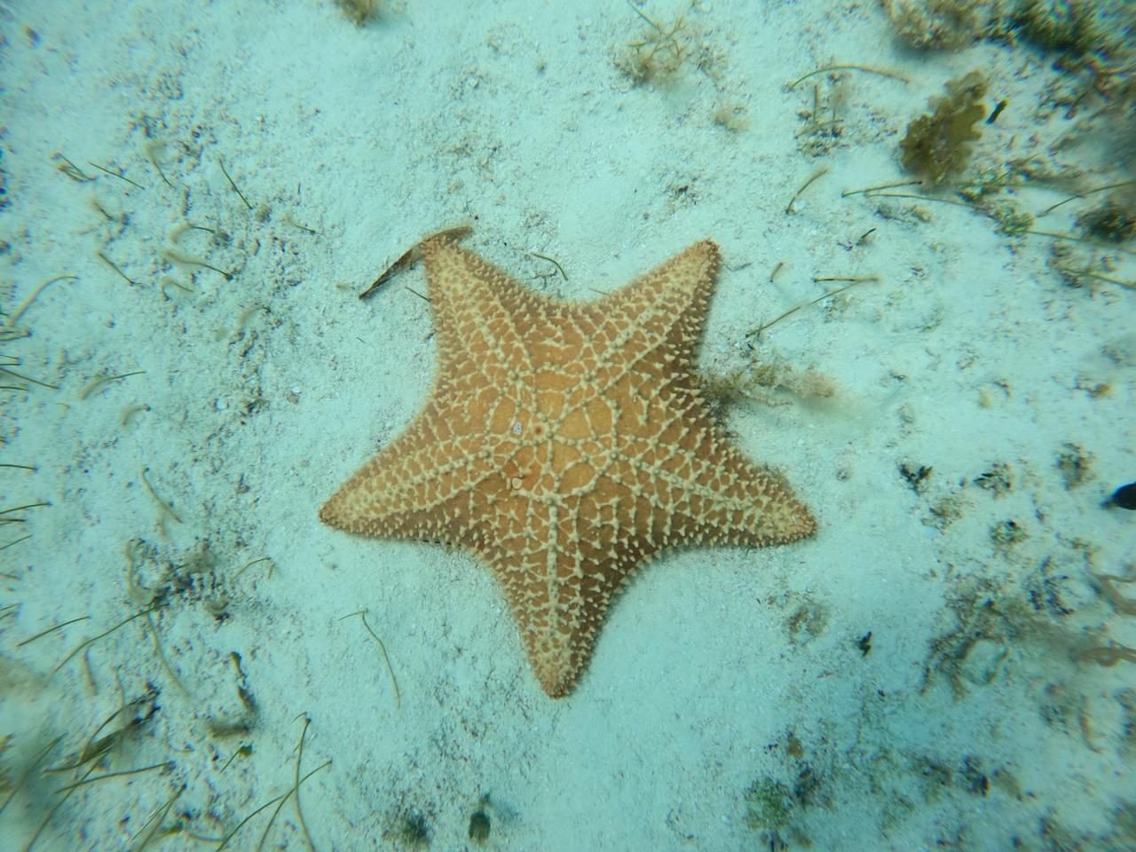 Cozumel El Cielo