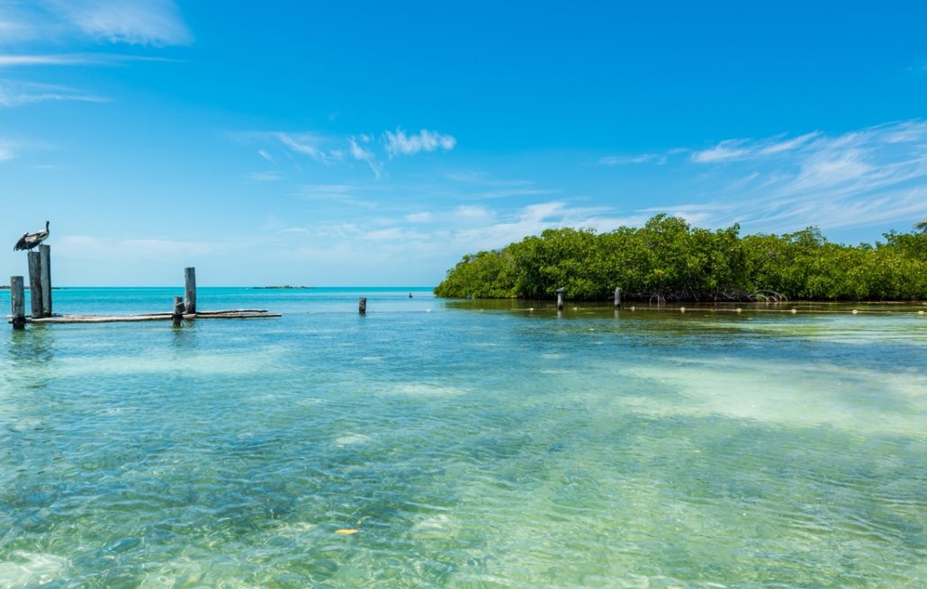 Isla Contoy & Isla Mujeres — foto 2