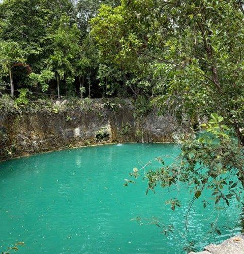 aventuras en la selva (9)